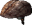 Human Brain