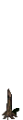 Thumbnail for version as of 13:36, 26 May 2026