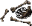 Bones