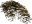 Hay