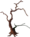 Thumbnail for version as of 13:12, 26 May 2026
