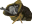 Anna's Bones
