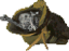 Anna's Bones