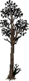 Thumbnail for version as of 13:30, 26 May 2026