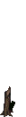 Thumbnail for version as of 13:21, 26 May 2026