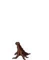 Thumbnail for version as of 13:12, 26 May 2026