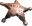 Sheriff's Badge