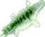 Toxic Gecko Pelt