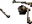 Bones
