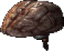 Chimpanzee Brain