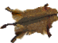 Brahmin Hide