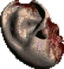 Ear