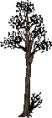 Thumbnail for version as of 13:30, 26 May 2026